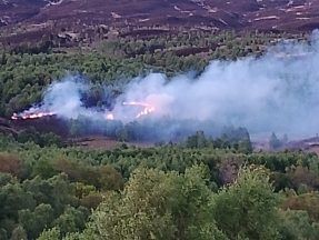 Disposable BBQ causes wildfire the size of ‘two rugby pitches’