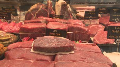 Scotland could see beef shortages, warns new report