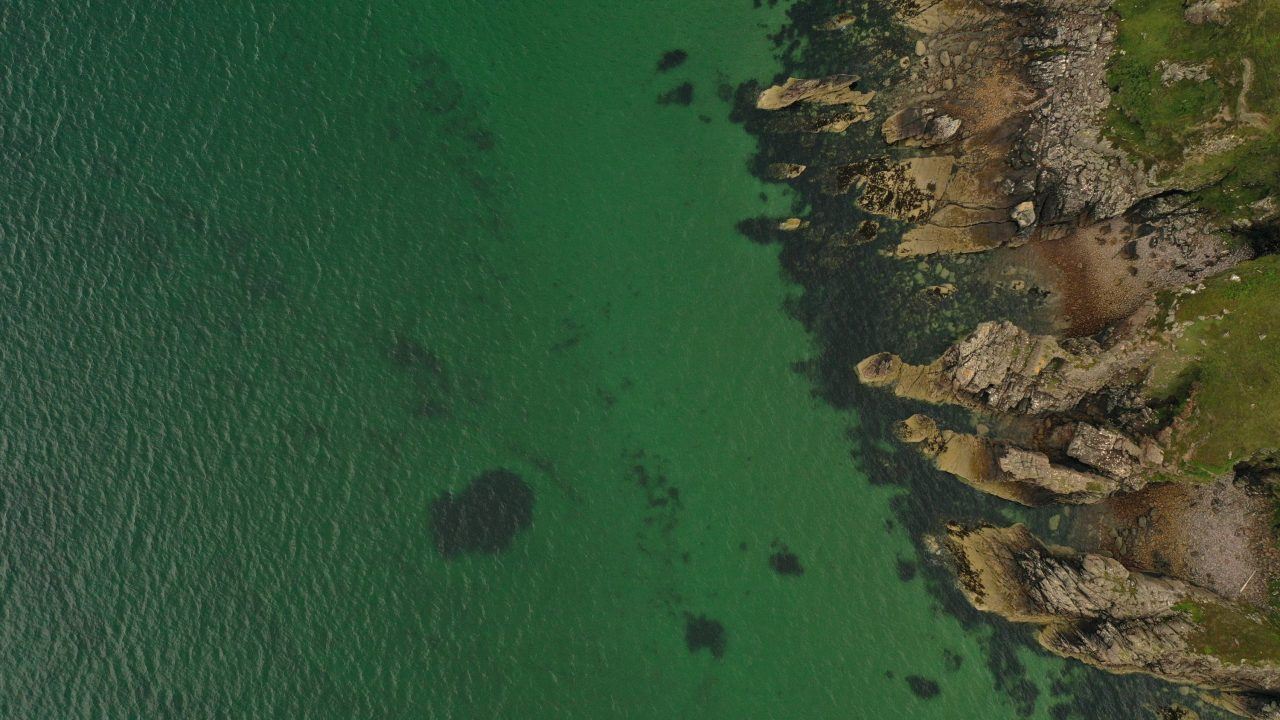 Marine conservation group claims damage to seabeds is a ‘national scandal’