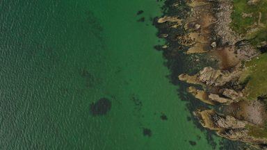 Marine conservation group claims damage to seabeds is a ‘national scandal’