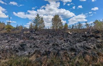 Helicopter and 50 firefighters battle large woodland wildfire for third day