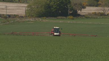 Crop yields to drop if dry weather continues, warn farmers