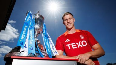 Mats Knoester urges Dons team-mates to focus on jobs not occasion in cup final