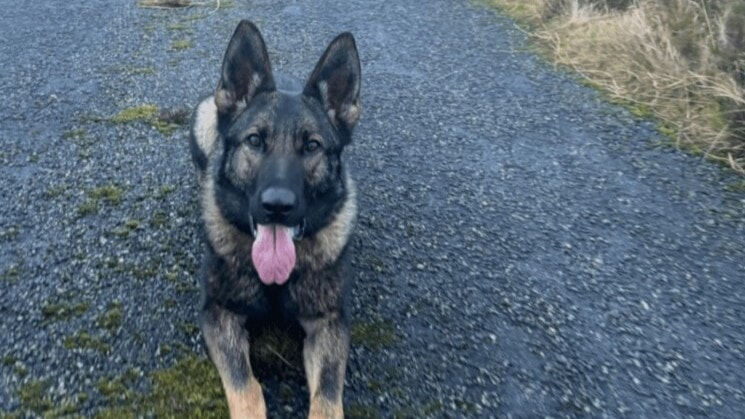 Police Scotland says they are reviewing their processes following the death.