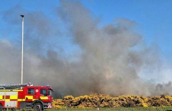Six schoolboys charged after fire at Aberdeenshire nature reserve deliberately started