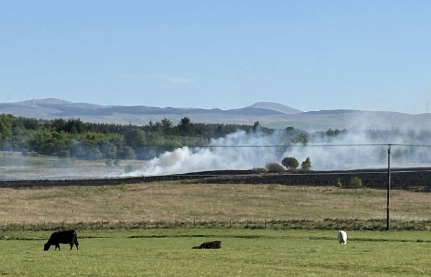 Cumnock wildfire