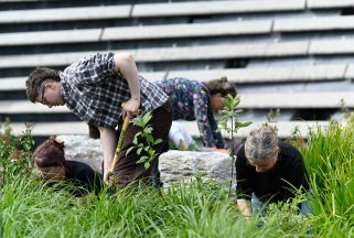 Power of Scotland’s gardens and their future explored through exhibition 