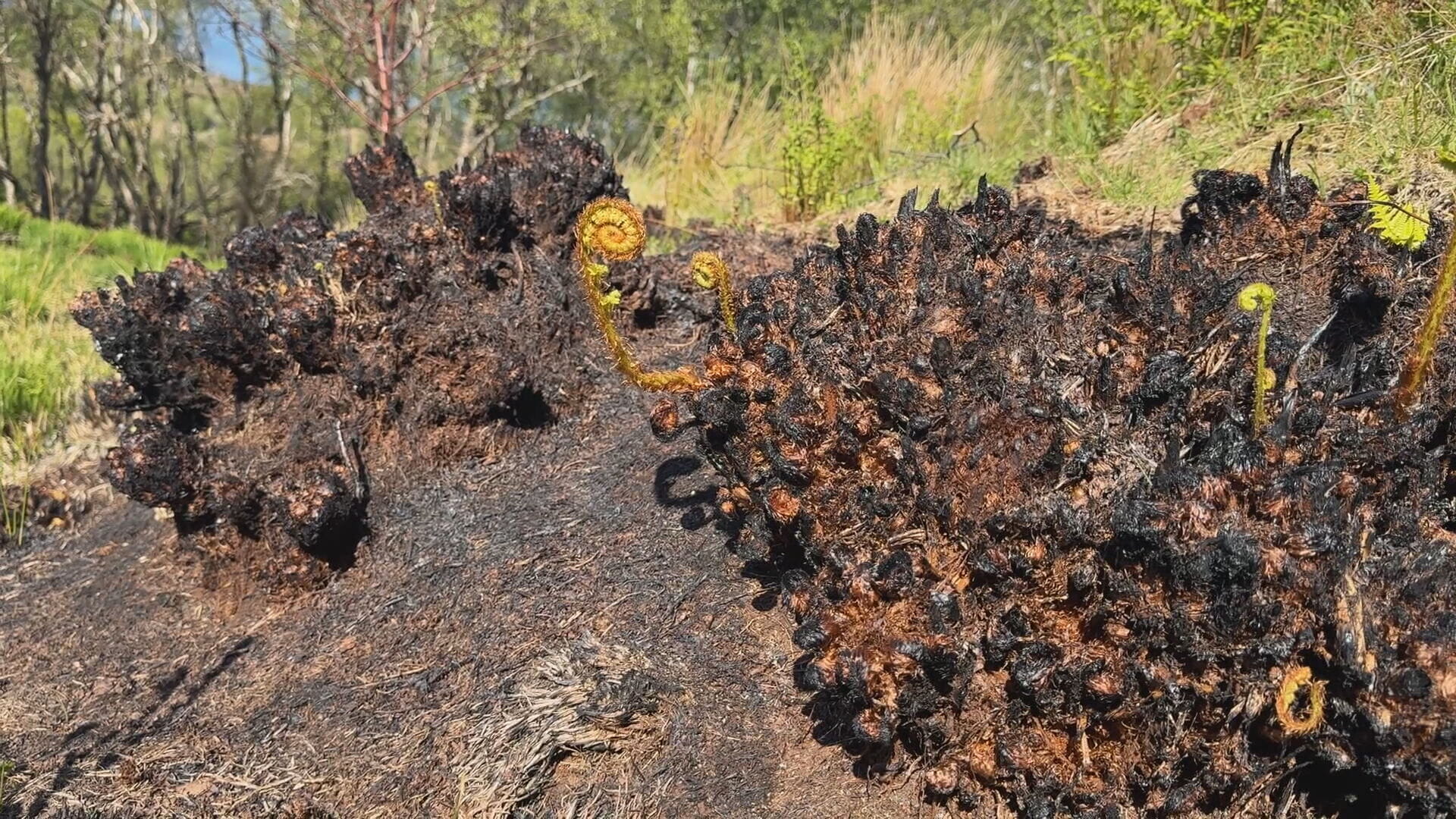 The fire raged for at least five days after it first broke out with crews working to make the area safe.