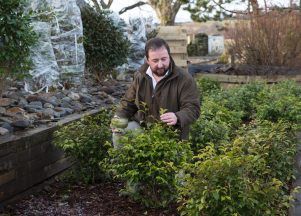 Scottish tea swindler: How ‘Mr Tea’ conned businesses out of £500,000