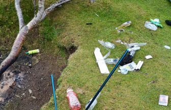 Warning issued after ‘tree cut down and beauty spot trashed’ on Isle of Skye