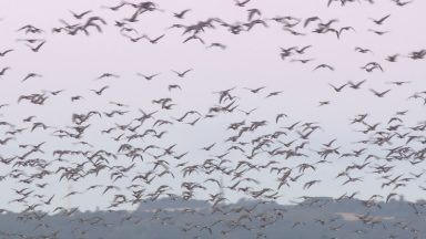 Montrose Basin celebrates 30 years of its visitor centre