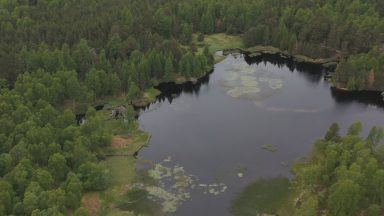 Beavers, boglands and green jobs: Nature-based work soars in Scotland