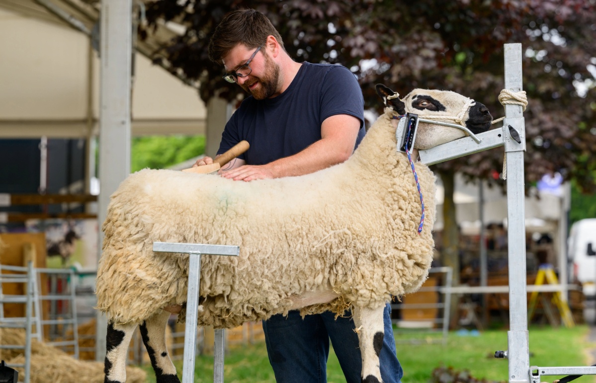 Sheep-shearing will be among the activities on show.