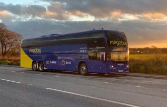 Hay bales, frozen turkey and false teeth among ‘surprising’ items lost on Megabus coaches