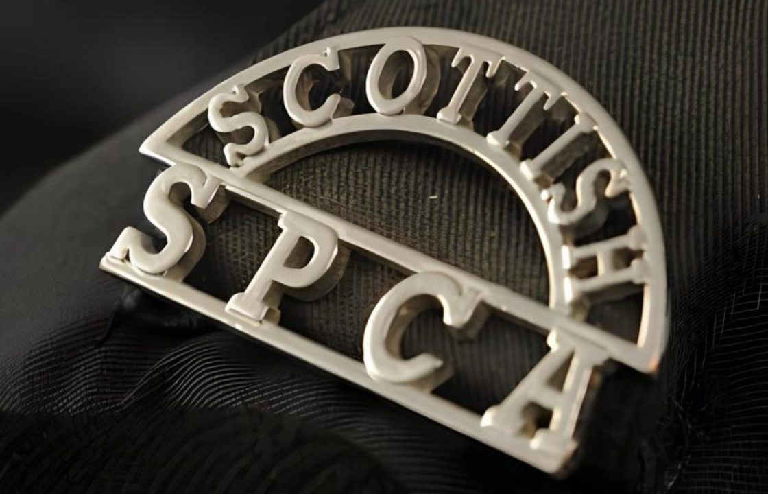 Body of decomposed ‘terrier-type’ dog found in Aberdeen