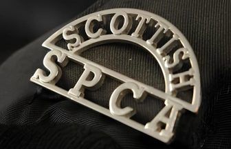Body of decomposed ‘terrier-type’ dog found in Aberdeen
