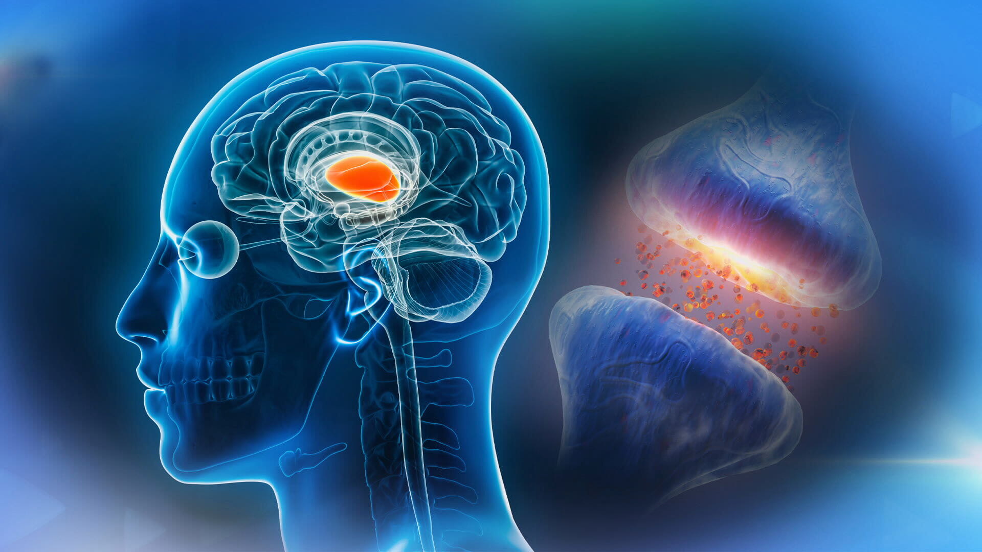 Chronic pain has been shown to be physiologically different from acute pain - and now scientists have the roadmap for how to target it