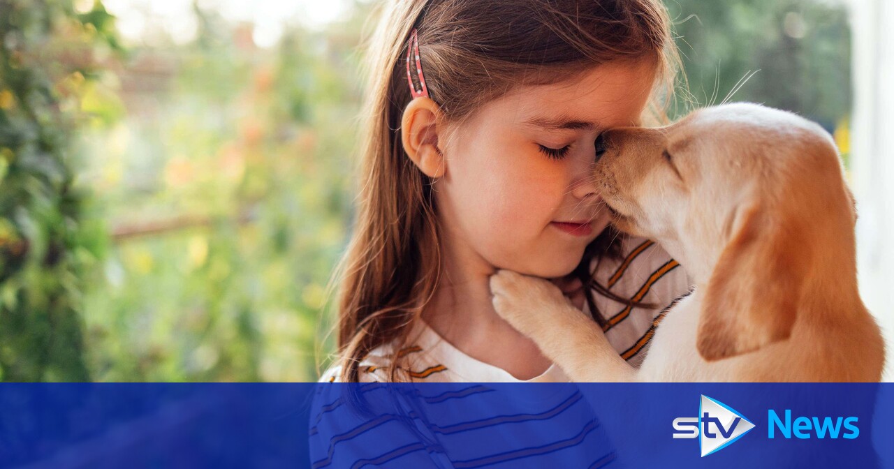 A pet dog could potentially prevent eczema in at-risk children, study says