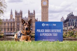 Ministers urged to give pensions to retired police dogs