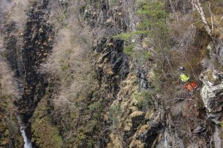 Conservationists abseil into 60-metre gorge to tackle invasive plant species