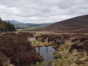 Glenlivet distillery uses hill dams to boost whisky water supply amid growing dry spells