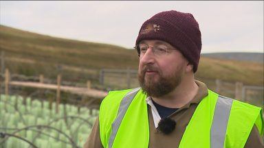 Scottish tea fraudster jailed for £500,000 scam
