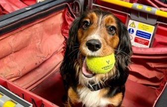 Police dog and handler helped keep cocaine, ecstasy and cannabis off streets in Western Isles