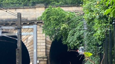 Fallen tree causes loss of power to railway lines surrounding Edinburgh Waverley
