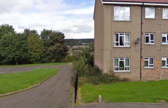 Girl, 11, left seriously injured after being attacked by dog on path in Dundee