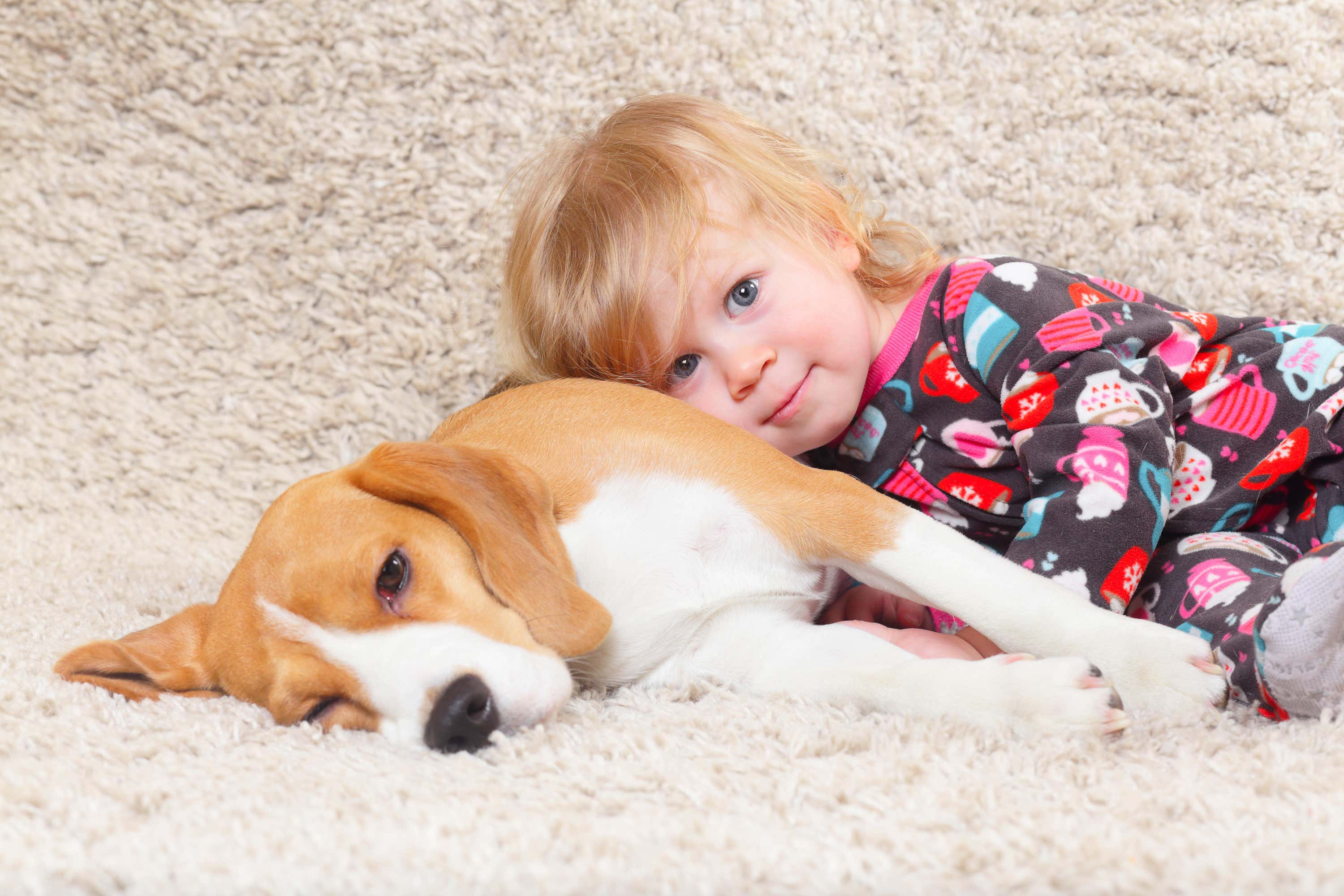 Children with a change in their DNA that increases their chance of developing eczema were less likely to have the condition if they were exposed to a dog in early life (Alamy/PA).