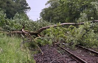 ‘Do not travel’ warning issued for Scotland after tree falls on West Coast Mainline 