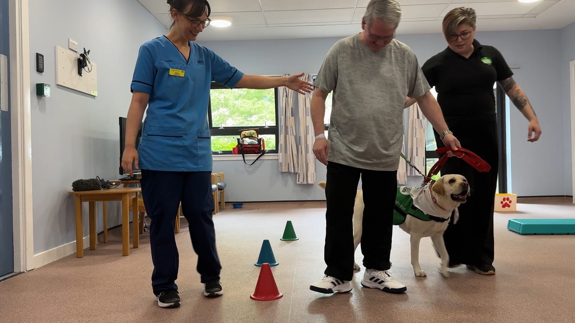 The dogs help with obstacle courses