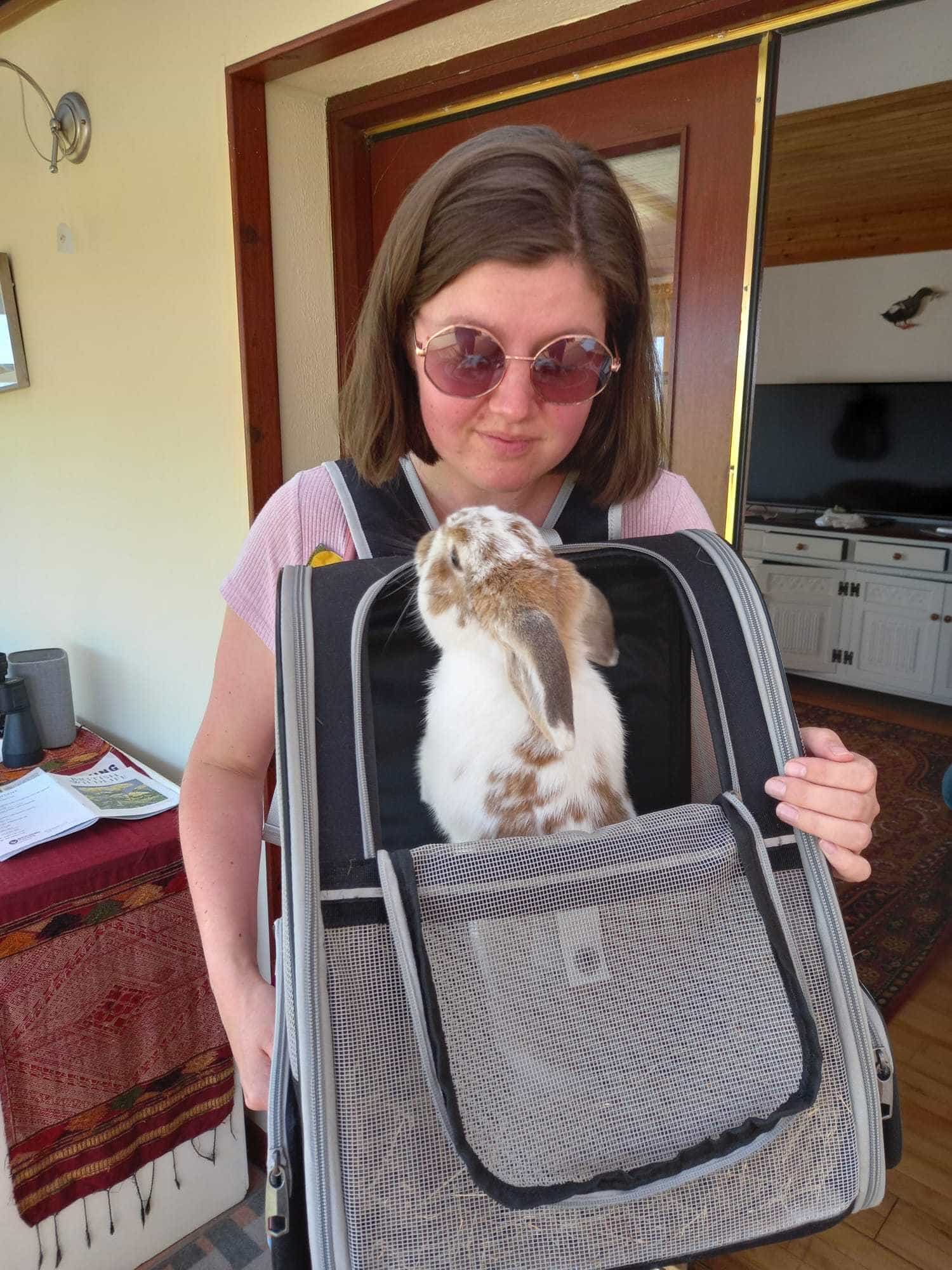 Romeo the Rabbit with owner Daryl Mcleod