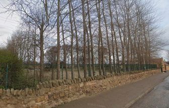 Charity refused access to land next to waste recycling plant after buying it