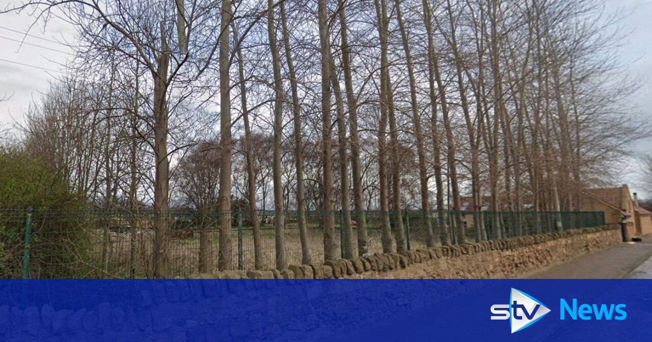 Charity refused access to land next to waste recycling plant after buying it