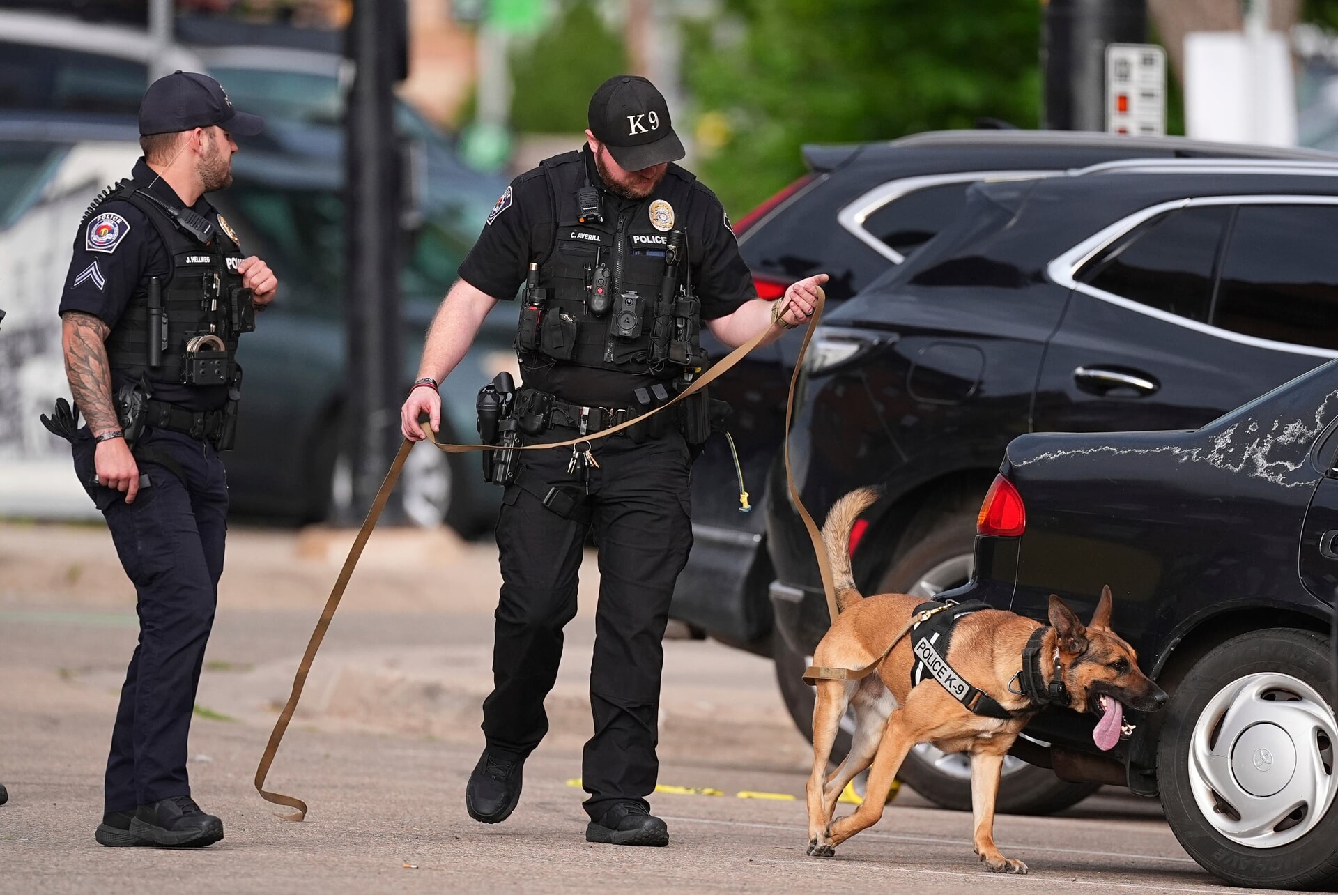 Sniffer dogs were involved in the police response