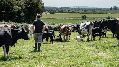 New suicide prevention initiative launches for Scotland’s farmers