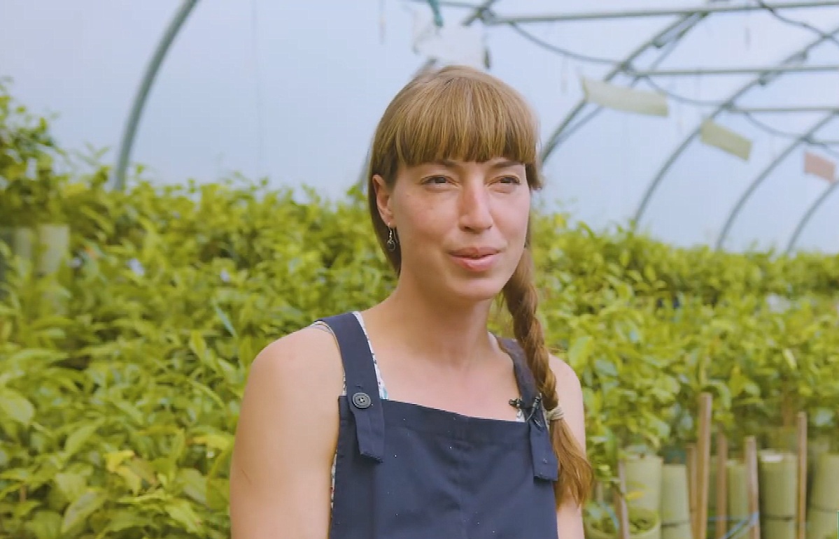 Islay Henderson was growing tea at a plantation in Tighnabruaich, in Argyll and Bute, seven years ago.