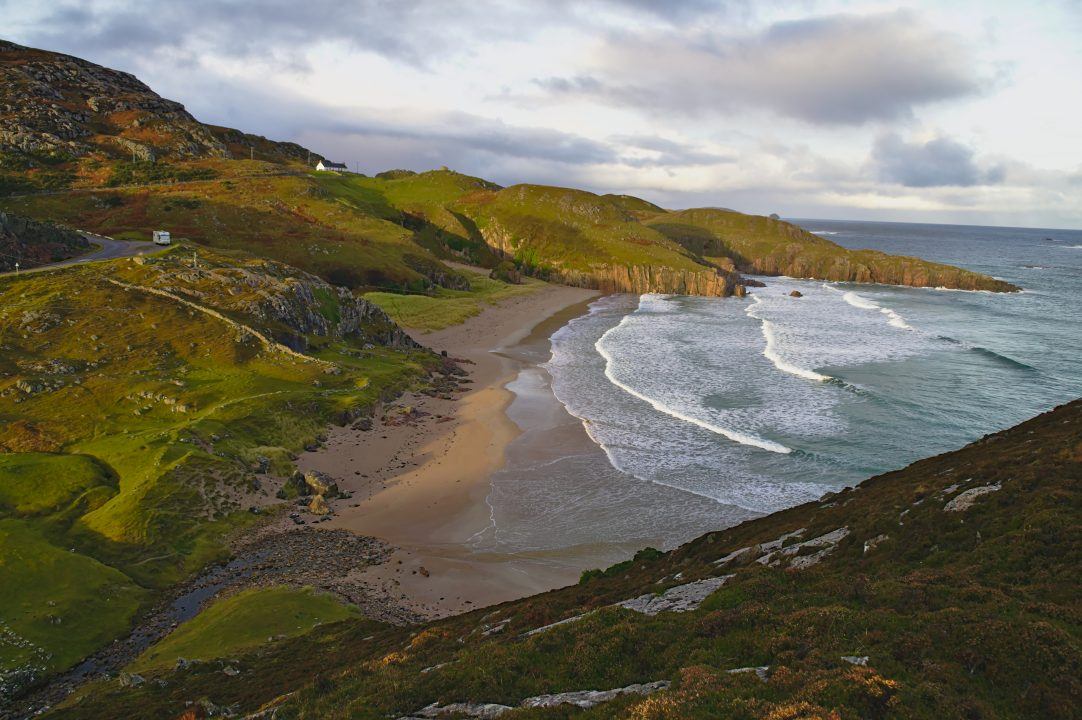 Whale euthanised after beach stranding