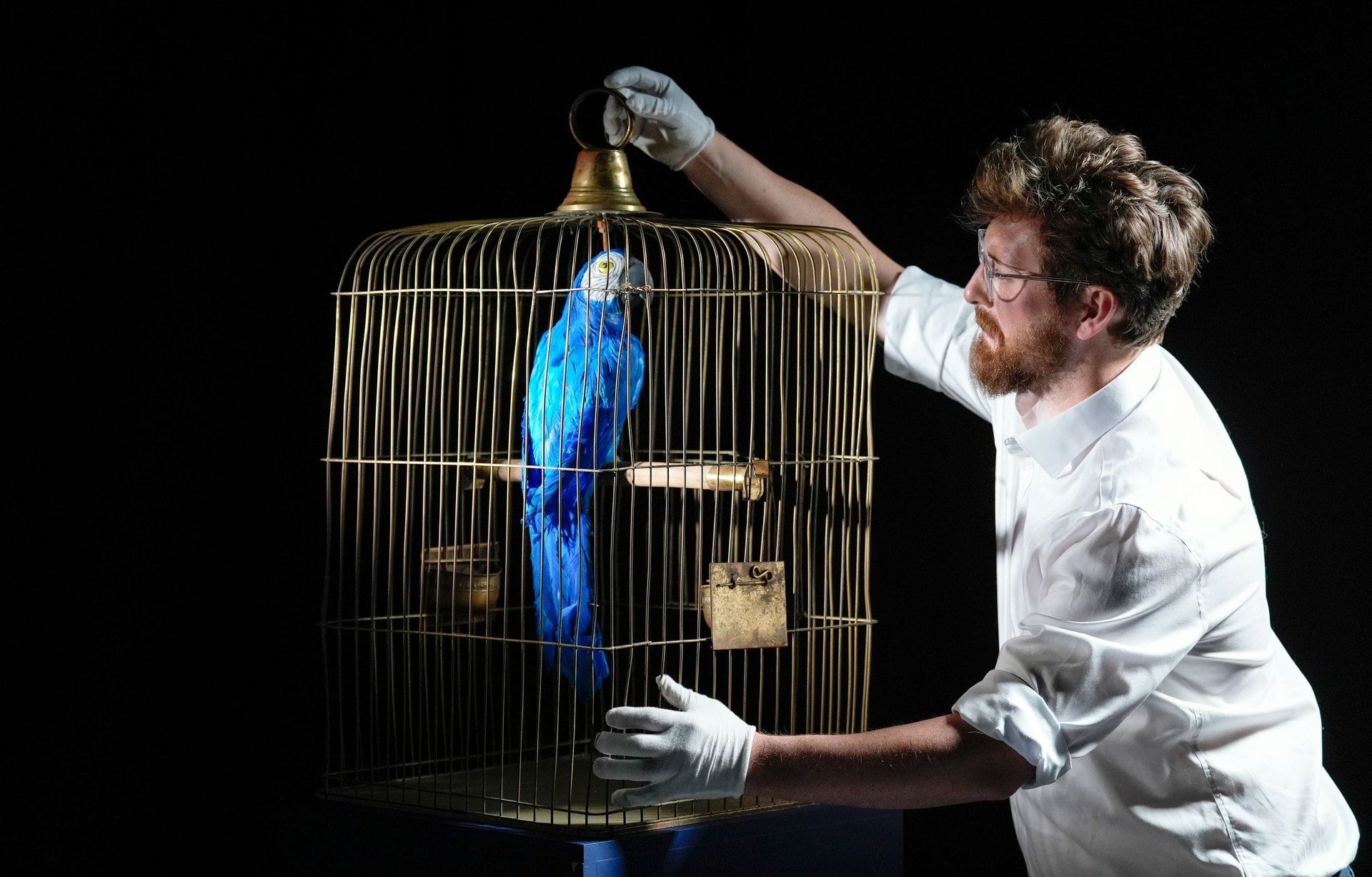 The fake dead parrot and bird cage from the Dead Parrot sketch in the live show are also on sale (Andrew Matthews/PA).
