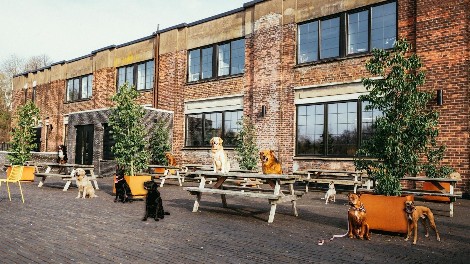Barklove is taking over Glasgow's SWG3