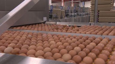 Aberdeenshire egg farm doubles capacity as UK consumption tops 13 billion
