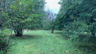 Bid to build sustainable cottage from logs in East Lothian orchard rejected