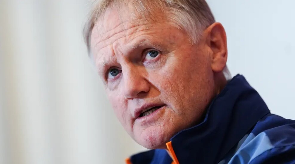 World Rugby rebuffs Joe Schmidt’s safety claim over Lions’ match-winning try