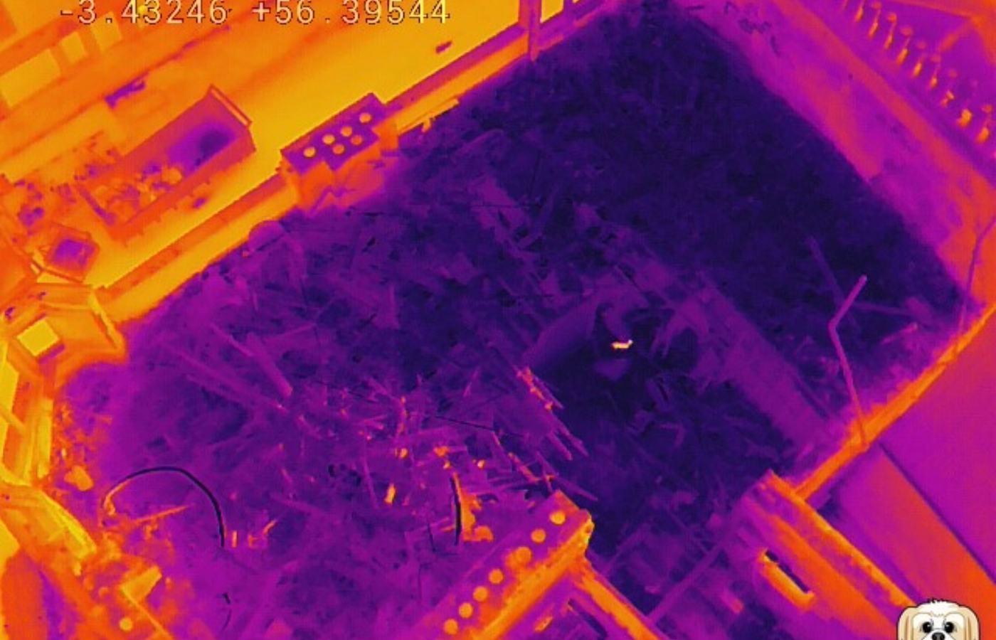 Missing Pets Perth flew a drone over the tenement and used thermal imaging to pinpoint its location.