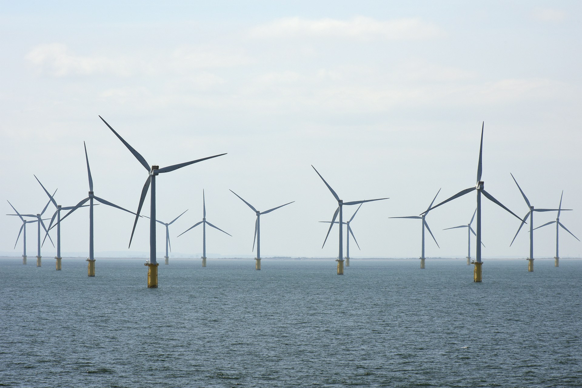 Wind farm three times the size of Edinburgh proposed off east coast