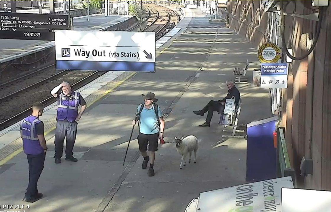Man spotted taking sheep on ScotRail train