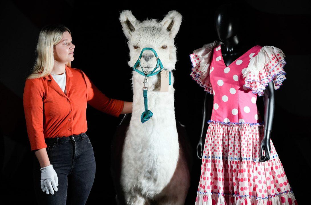 Costumes, props and ‘llama’ from Monty Python’s final live show to be auctioned