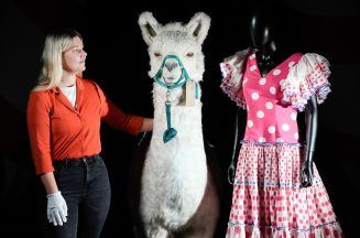 Costumes, props and ‘llama’ from Monty Python’s final live show to be auctioned