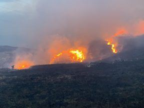 Police continue to investigate cause of Highlands wildfire